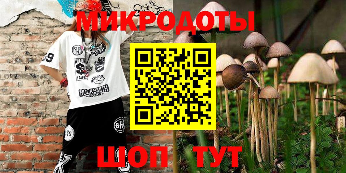 Ачинск  Псилоцибиновые грибы Psilocybe  Псилоцибиновые грибы прущие грибы  Вход с VPN 
